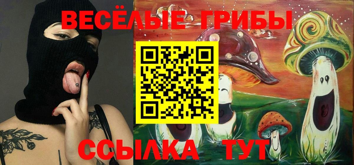 Галлюциногенные грибы MAGIC MUSHROOMS Назрань