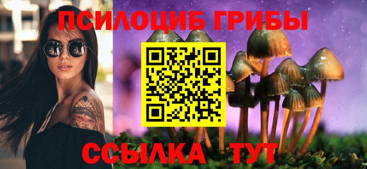 Назрань  Галлюциногенные грибы прущие грибы  Вход с VPN  Псилоцибиновые грибы Cubensis 